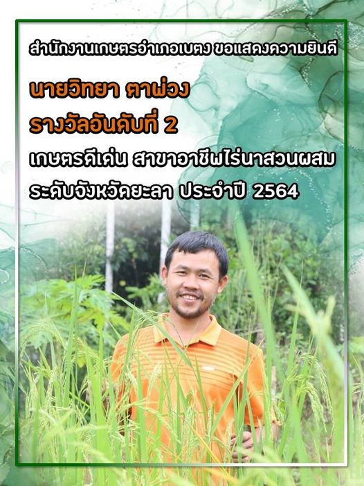 news3