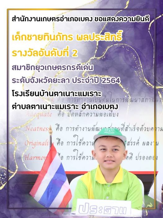 news5