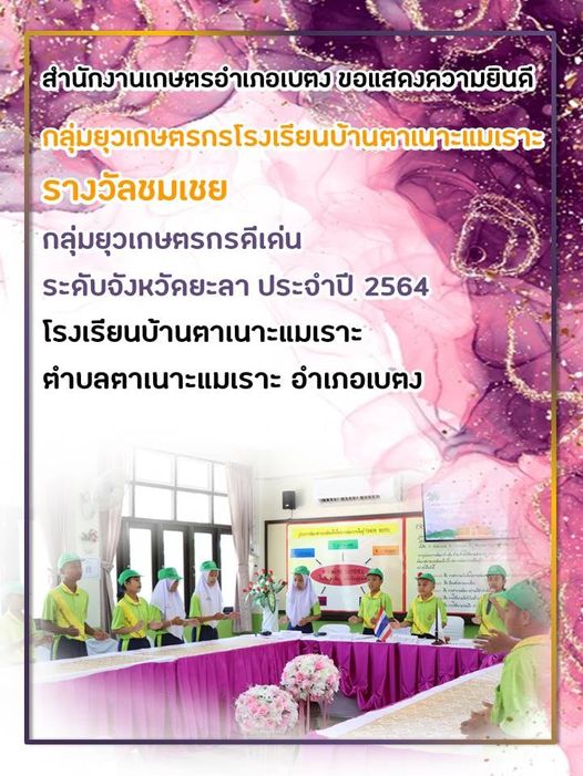 news6