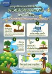 การดูแลรักษา และเทคโนโลยีที่เหมาะสมเมื่อเกิดอุทกภัยในสวนไม้ผล