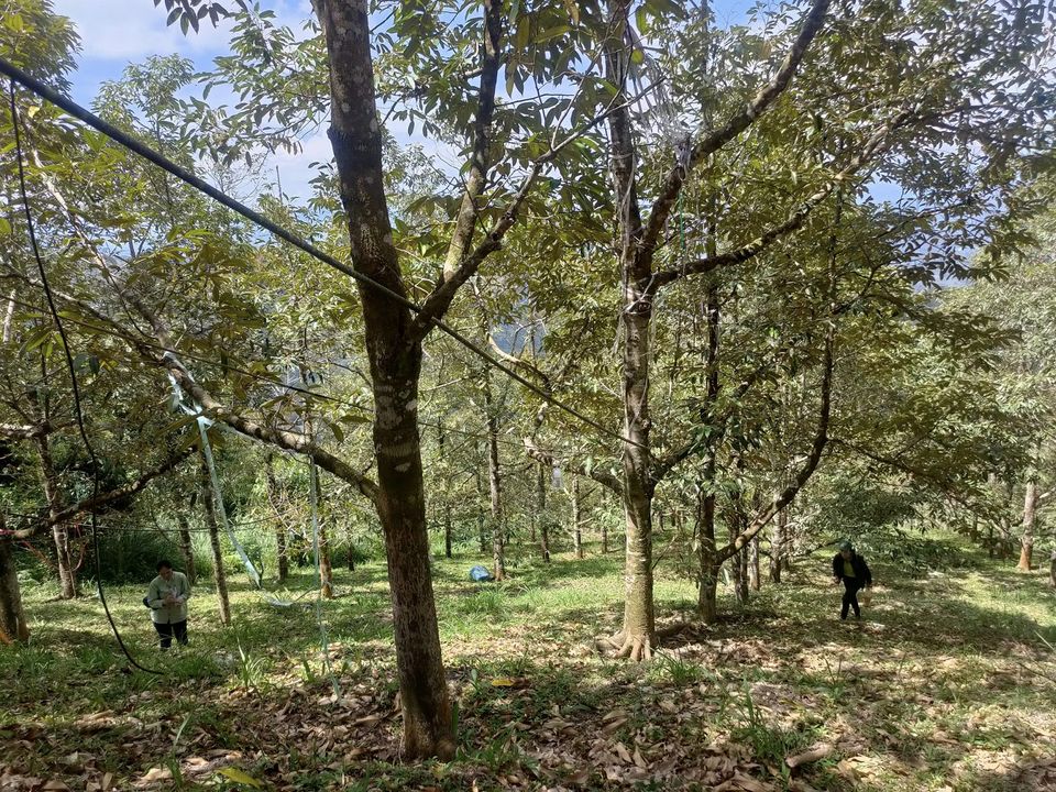 336059164_604665237867194_266970483076924707_n