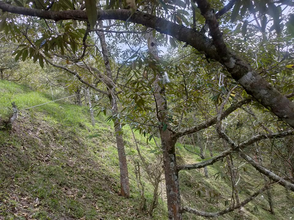 337253307_3555187524724155_3258335652864651295_n