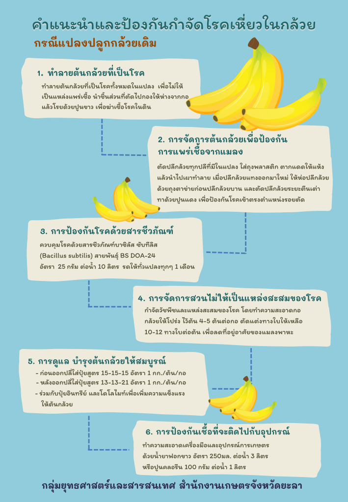 banana-เดิม