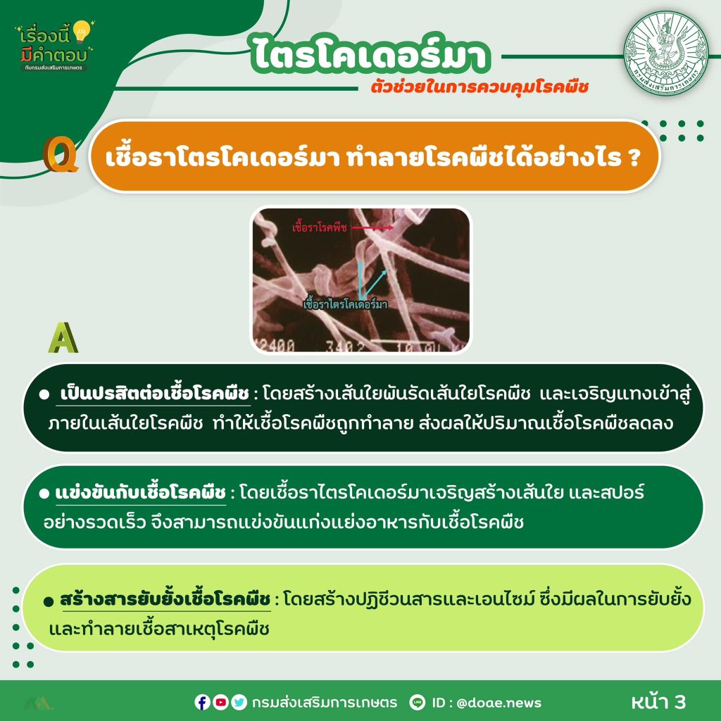 472464204_917950550523554_5798285059500630688_n