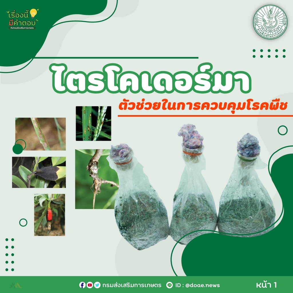 472512218_917950603856882_4365999193007434283_n