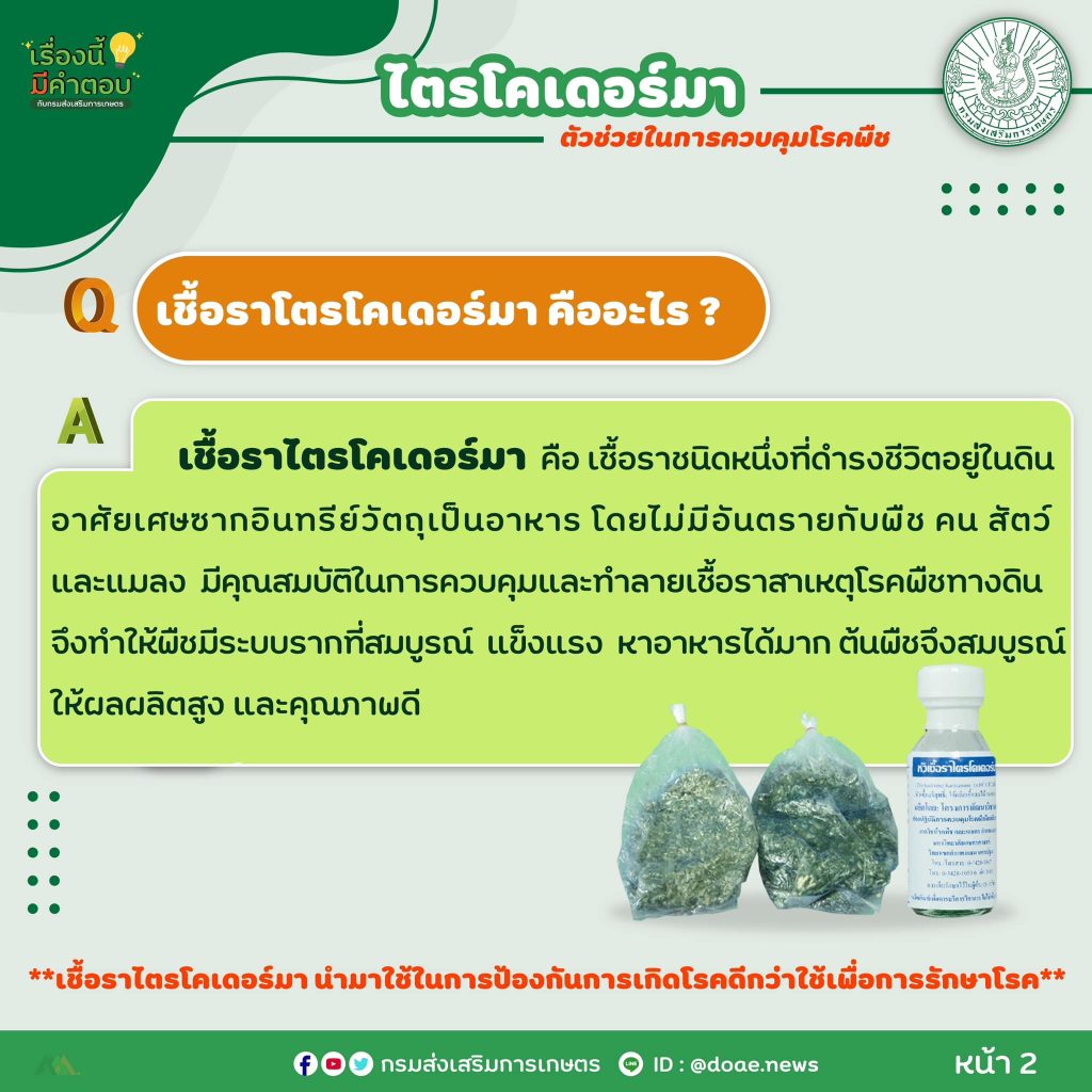 472620068_917950607190215_3674592680746245587_n