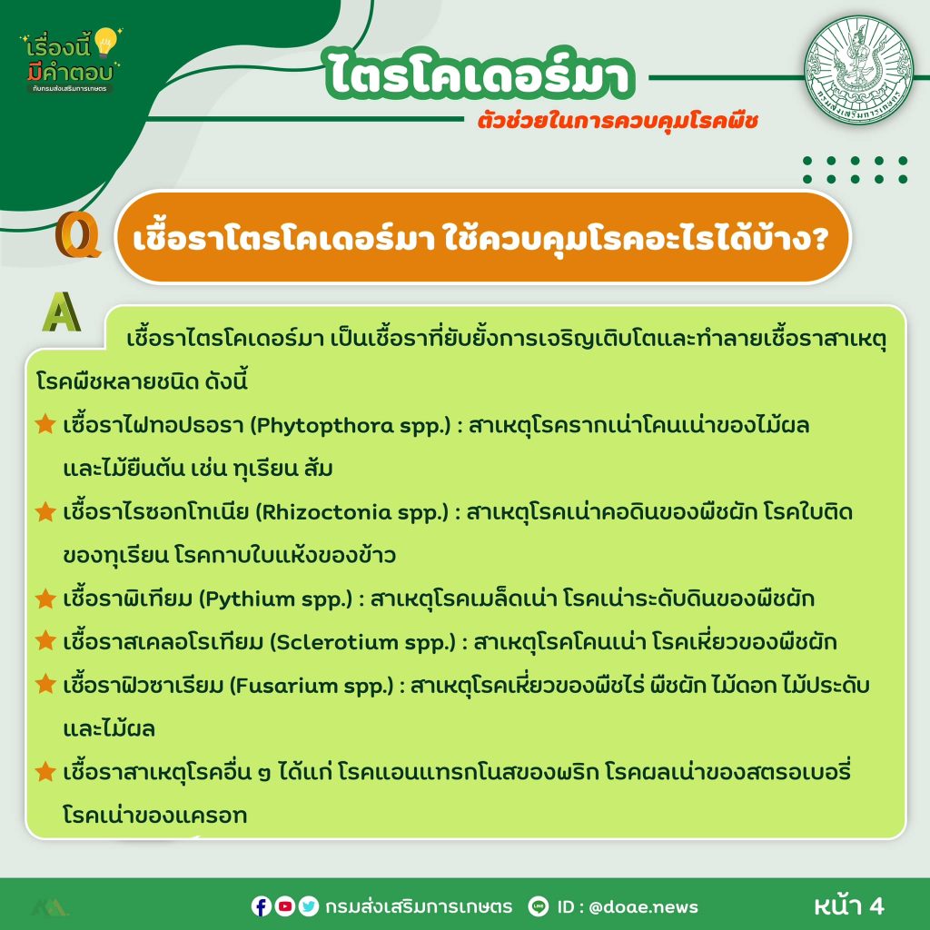 472713001_917950520523557_3023548863573585061_n (1)