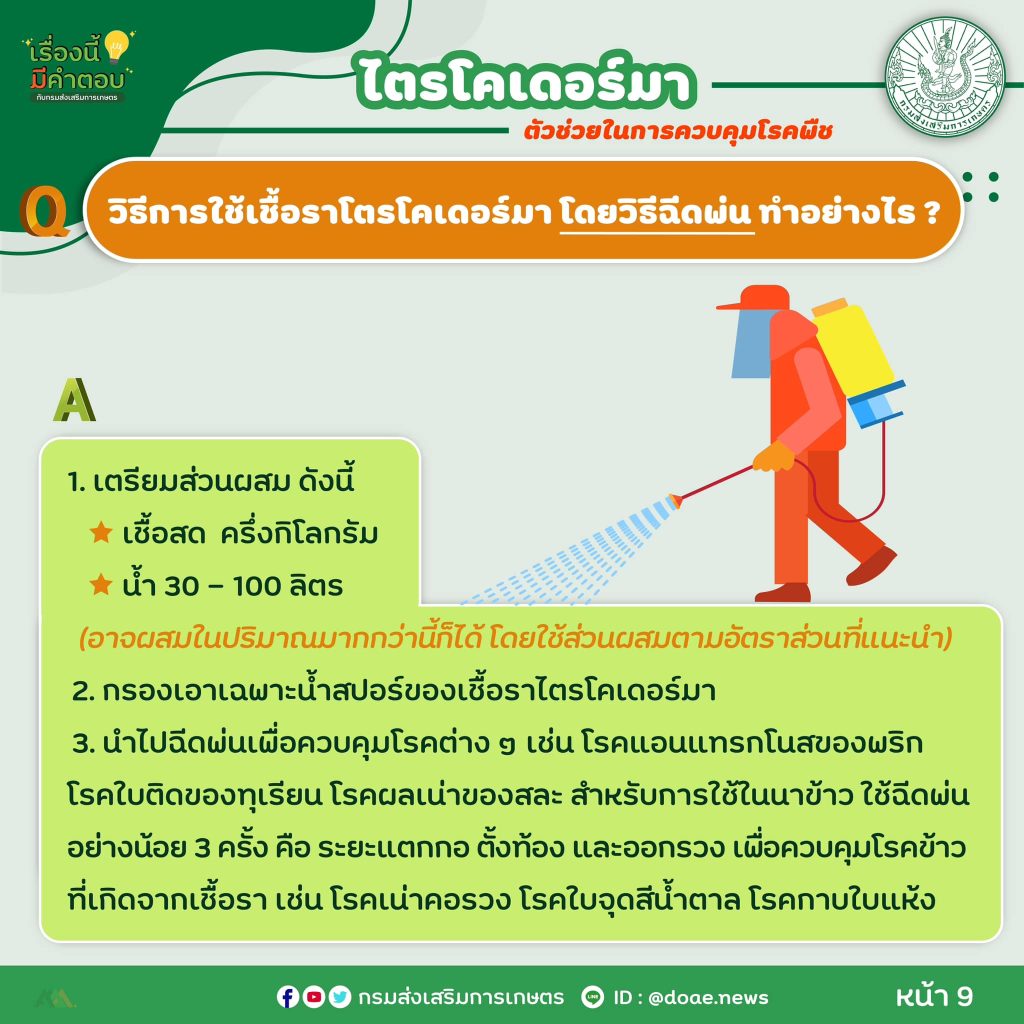 472714096_917950430523566_8381651212925079859_n