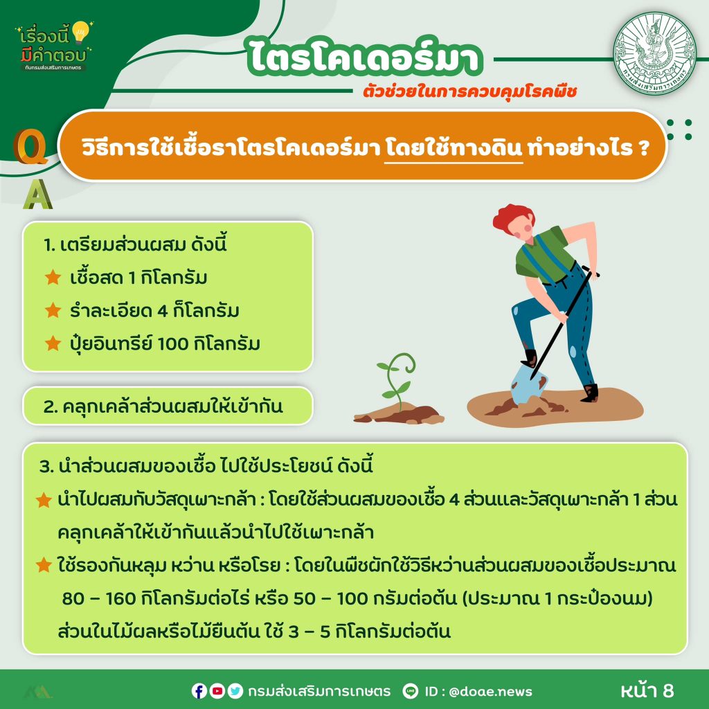 472718980_917950460523563_3358855065066124105_n