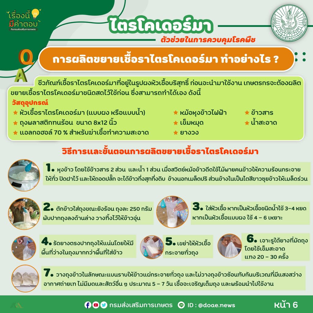 472752223_917950510523558_8187812022804037537_n