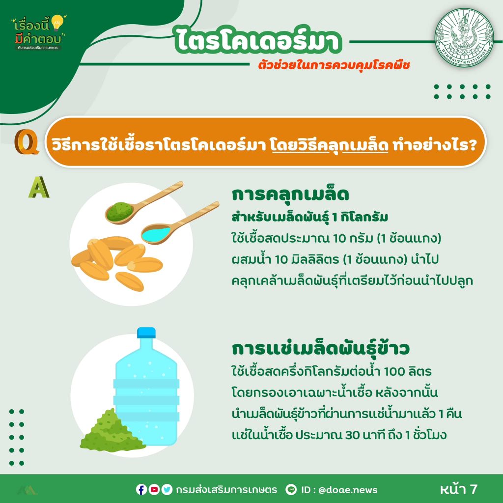 472984044_917950457190230_4207841304826659327_n