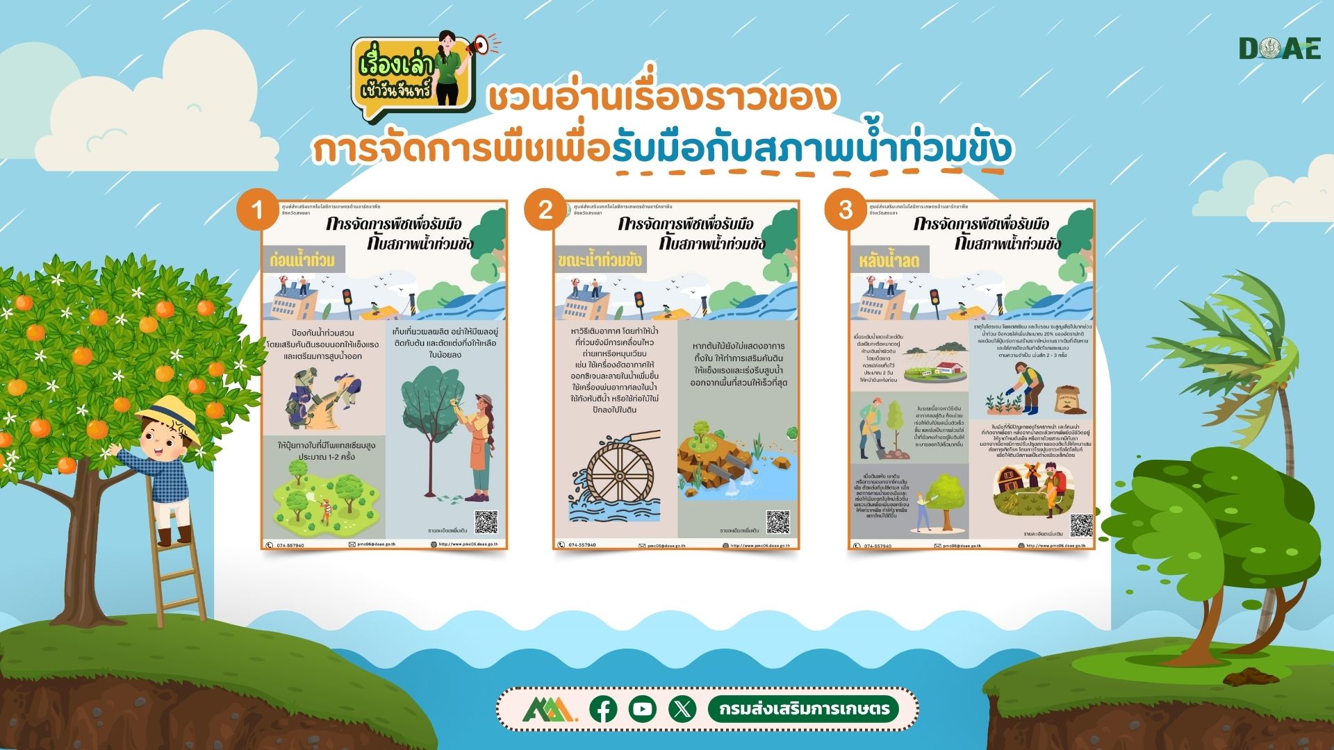 การจัดการพืชเพื่อรับมือกับสภาพน้ำท่วมขัง