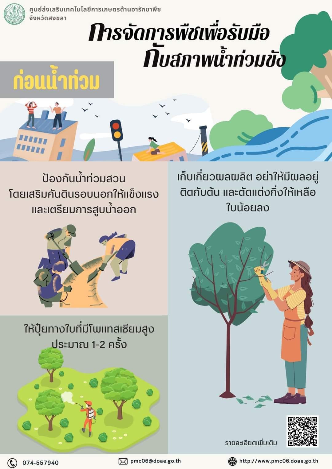 การจัดการพืชเพื่อรับมือกับสภาพน้ำท่วมขัง
